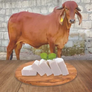 Fresh paneer near me 