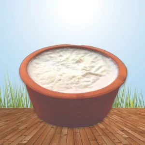 A2 curd/dahi